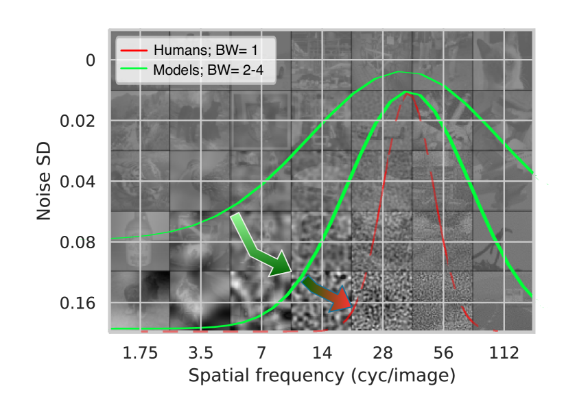 vision-frequency-analysis-foundation-models-human.png